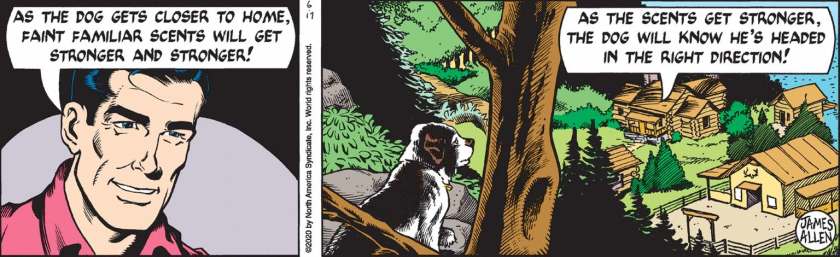 Mark Trail, explaining: 'As the dog gets closer to home, faint familiar scents will get stronger and stronger! As the scents get stronger, the dog will know he's headed in the right direction!' We see Andy on a rock, looking down on Mark Trail's log cabin and several other buildings in the vincity.