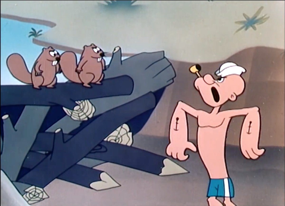 An angry Popeye stands in a dried riverbed, scowling at the two beavers sitting atop their dam which blocks it.