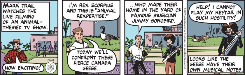 [ Mark Trail watches the live filming of an animal-themed tv show ] Mark Trail ;'How exciting!' Rex, addressing his camera: 'I'm Rex Scorpius and this is 'Animal Rexpertise'. Today we'll confront these fierce Canada geese ... who made their home in the yard of famous musician Jimmy Songbird.' As the geese honk, Jimmy Songbird says, 'help! I cannot play my keytar in such hostility!' [ Looks like the geese have their own musical notes. ]