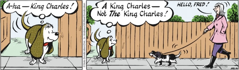 Fred Basset, to the reader: 'A-ha! King Charles!' The panel widens to reveal a King Charles Spaniel being walked. Fred: '*A* King Charles --- not *the* King Charles!' The spaniel's walker says, 'Hello, Fred!'