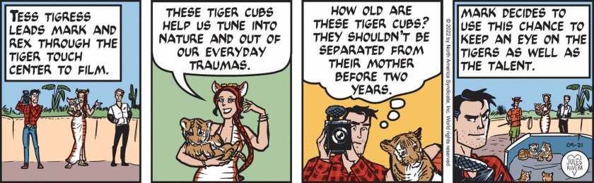 [ Tess Tigress leads Mark and Rex through the Tiger Touch Center to film. ] Tigress, holding a cub: 'These tiger cubs help us tune into Nature and out of our everyday traumas.' Mark Trail, filming and thinking: 'How old are these tiger cubs? They shouldn't be separated from their mother before two years.' [ Mark decides to use this chance to keep an eye on the tigers as well as the talent. ]