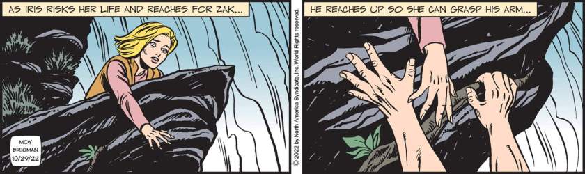 [ As Iris risks her life and reaches for Zak ... he reaches up so she can grab his arm ... ] We see her, in front of the fals, lying down on the edge and reaching an arm out. In the second panel Zak lets one hand free of the tree root to grab her arm.