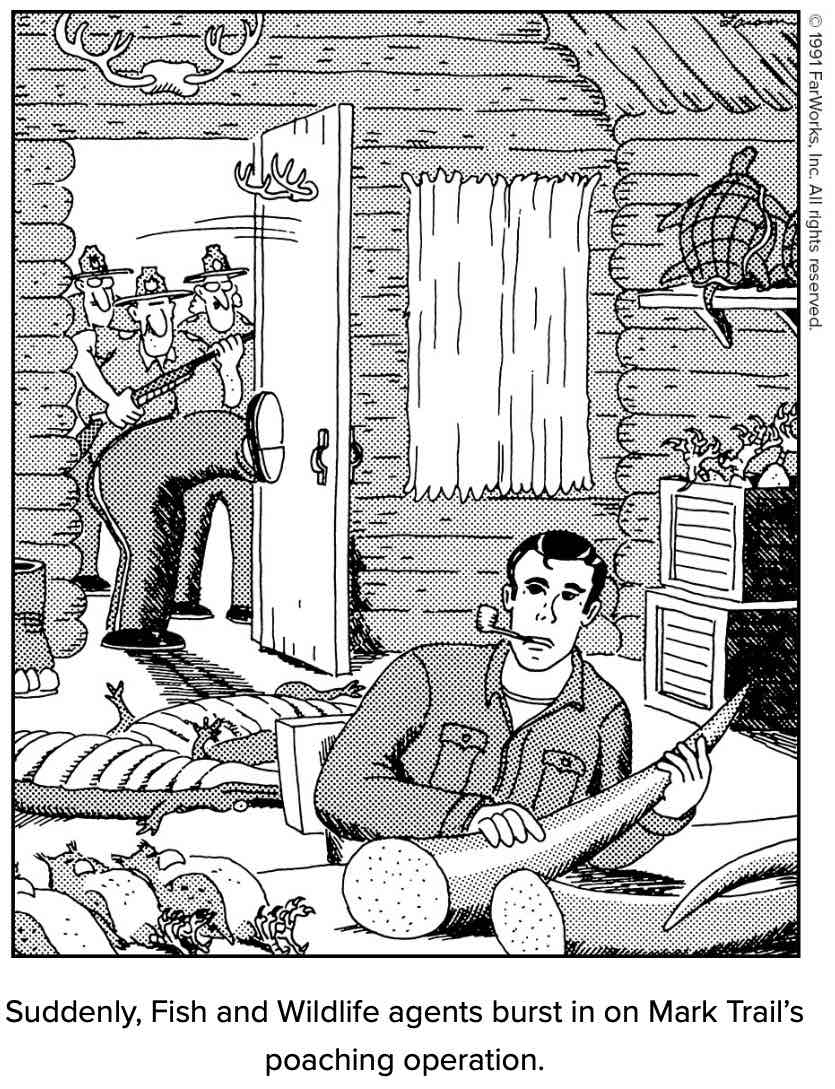 Picture of the classic old-time Mark Trail, pipe in mouth, holding an elephant tusk and surrounded by captive or dead owls, gators, turtles, and more. Cops, drawn in the more cartoony Far Side style, break open the door. Caption: 'Suddenly, Fish and Wildlife agents burst in on Mark Trail's poaching operation.'